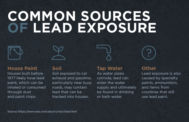 Common Sources of Lead Exposure